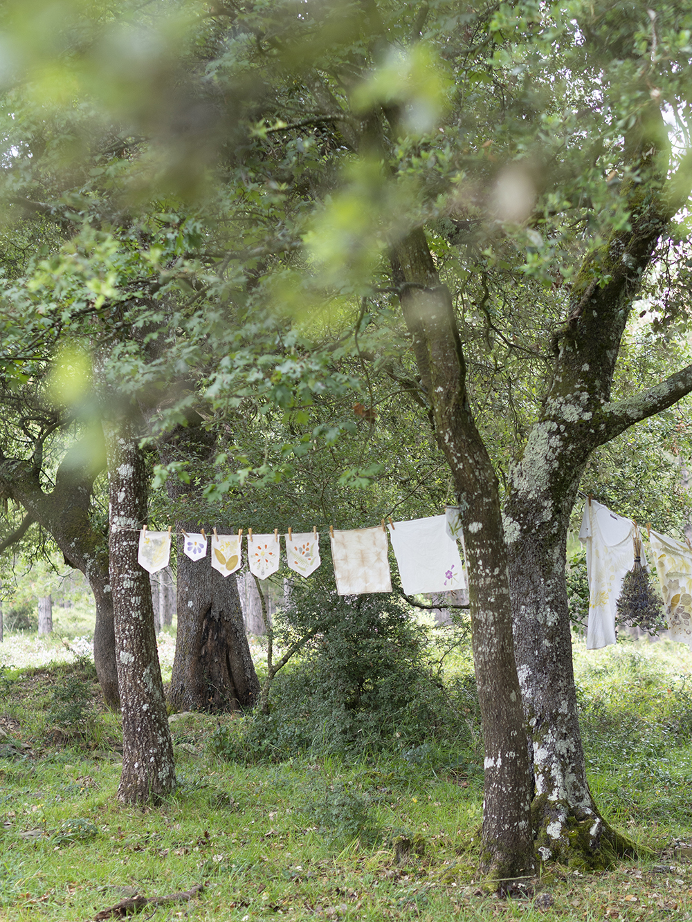 DIY Estampación botánica en tela18